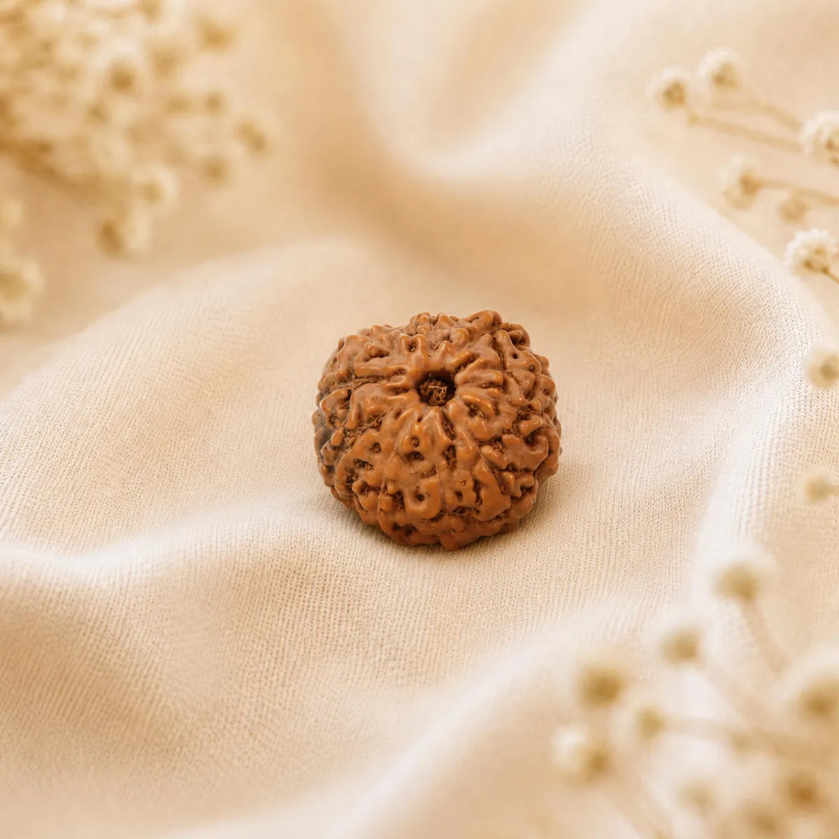 9 Mukhi Rudraksha